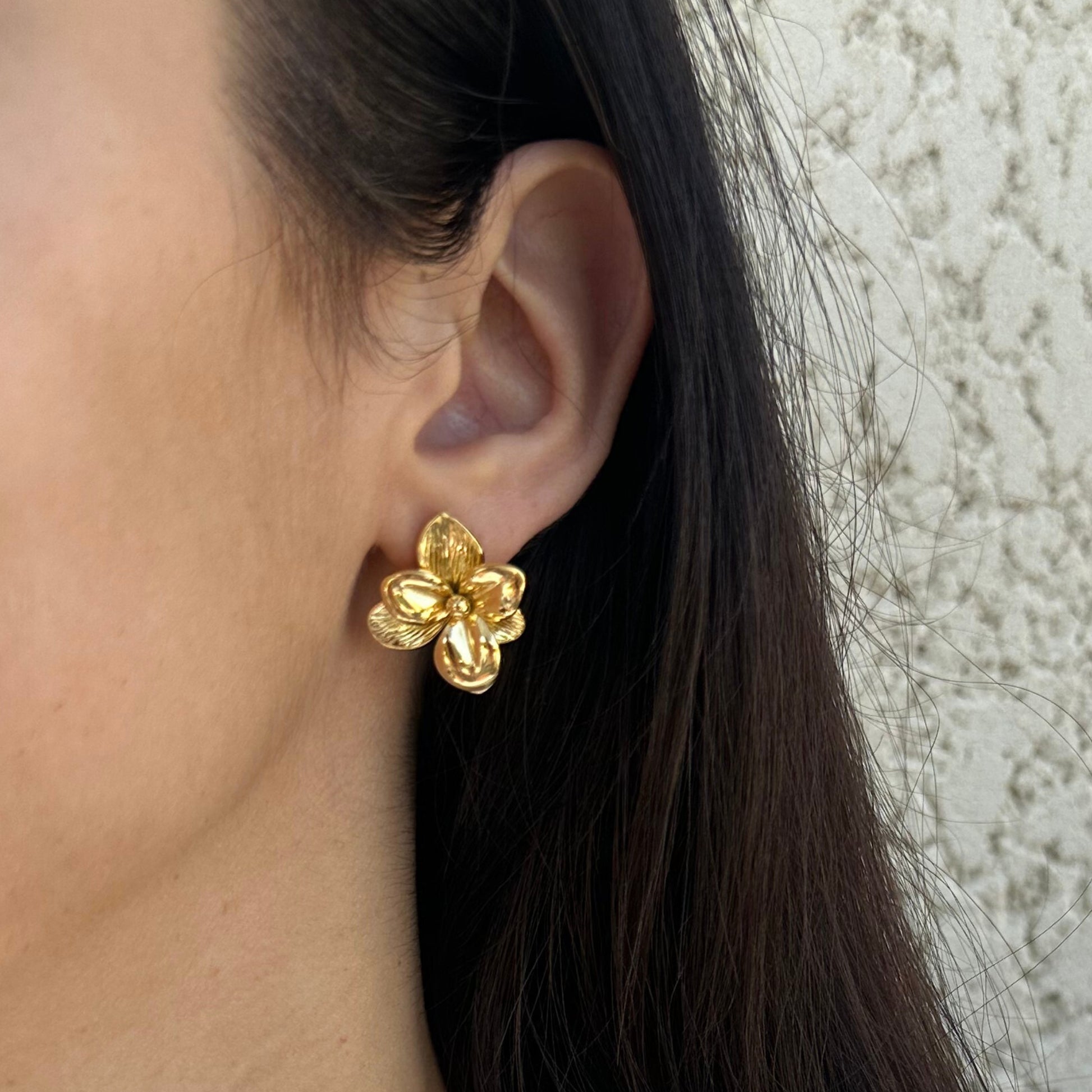 Boucles d'oreilles acier inoxydable - Bali