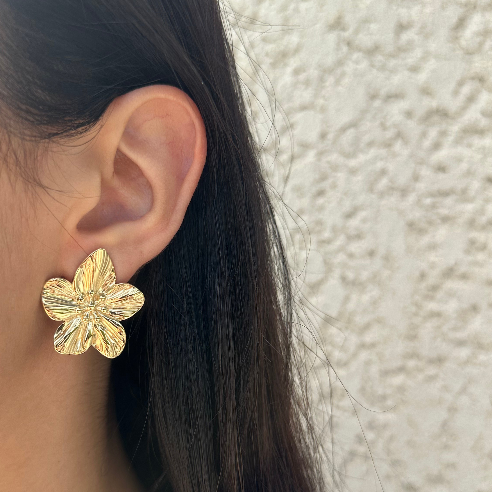 Boucles d'oreilles acier inoxydable - Noumea